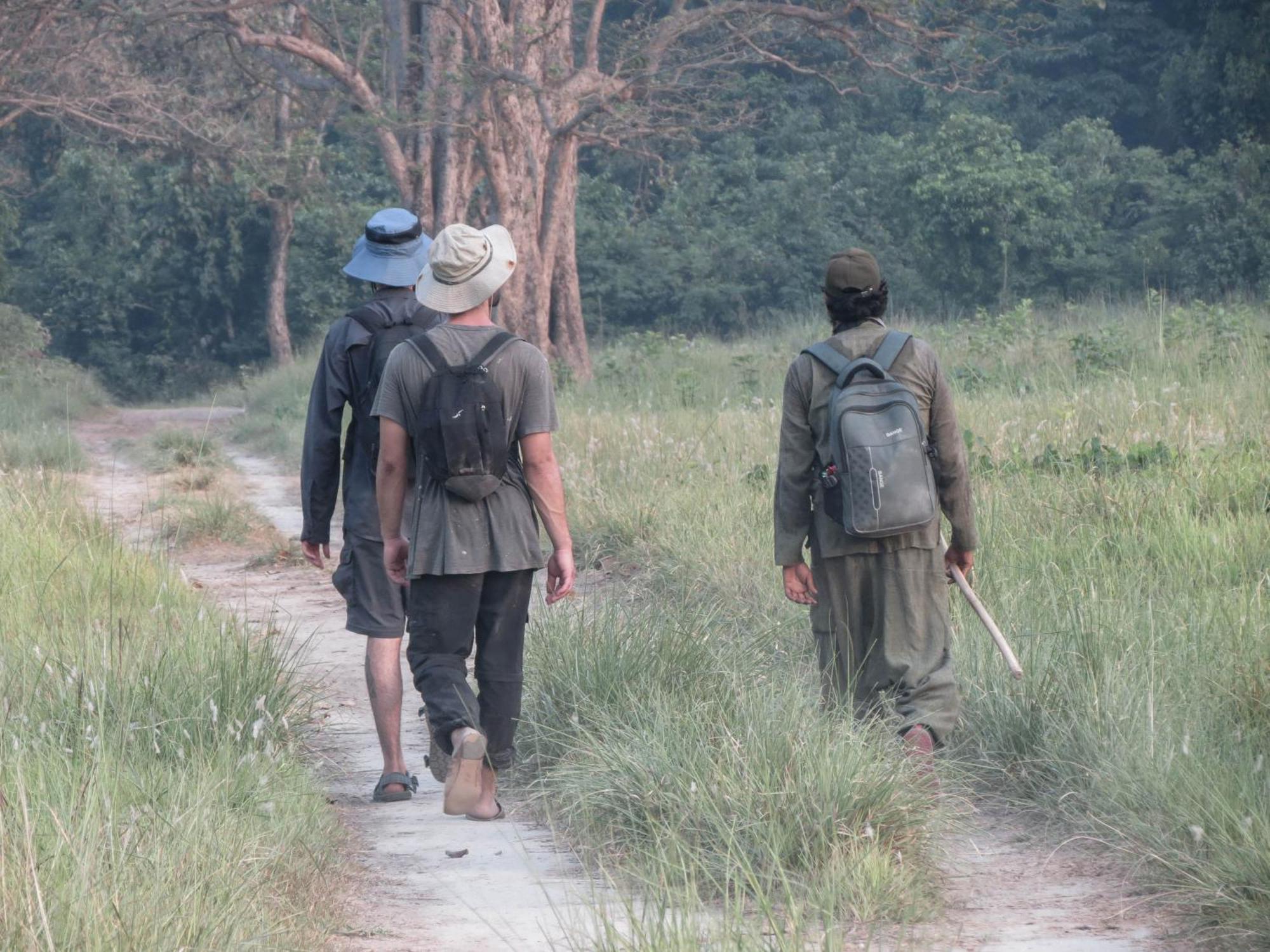 Forest Hideaway Resort Pvt Ltd Bardiya Eksteriør billede