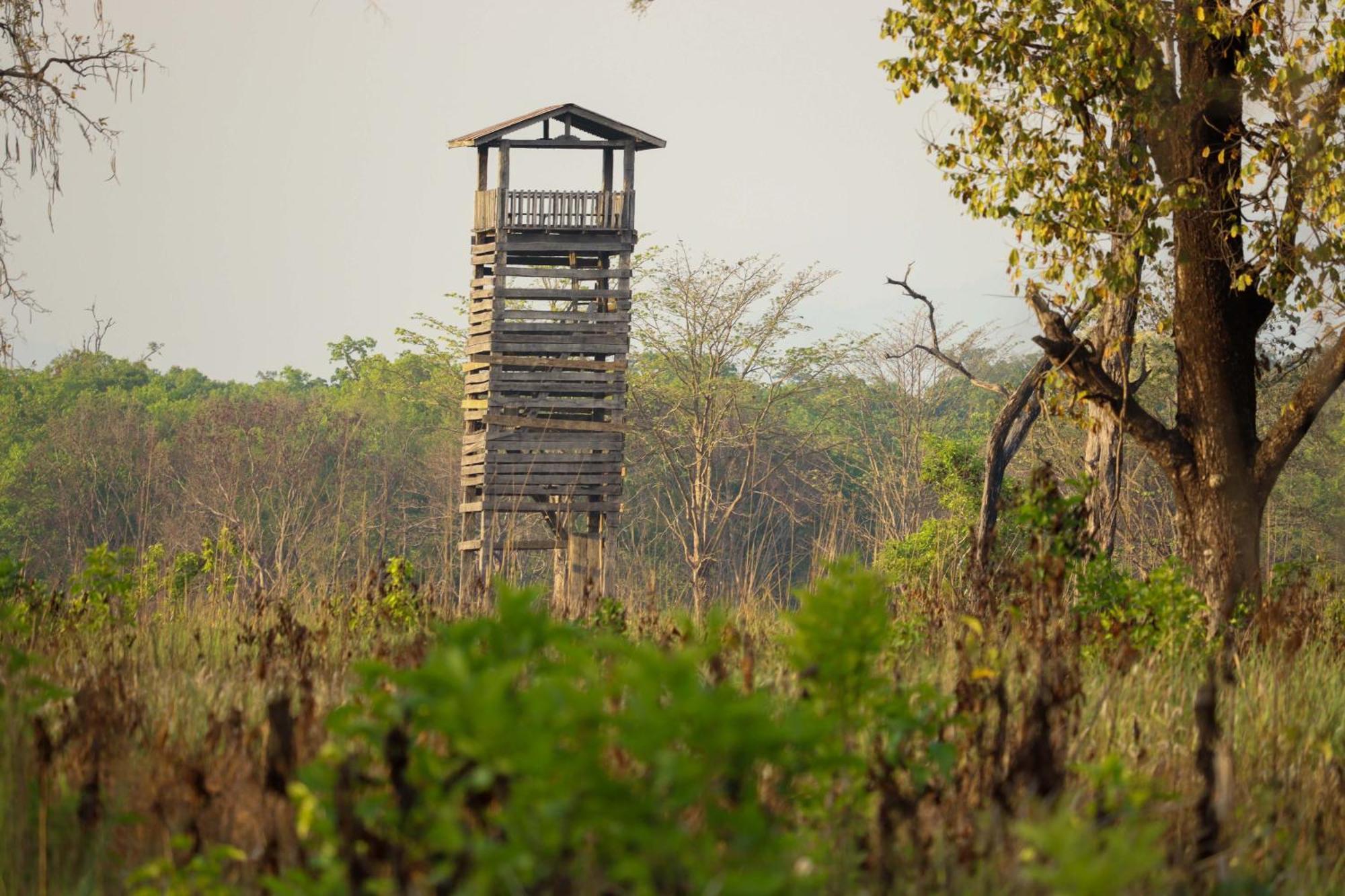 Forest Hideaway Resort Pvt Ltd Bardiya Eksteriør billede