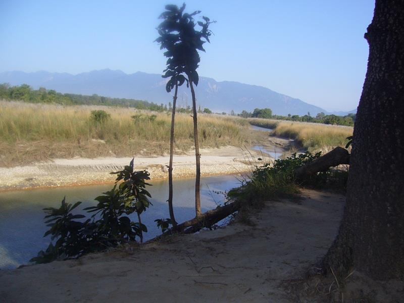 Forest Hideaway Resort Pvt Ltd Bardiya Eksteriør billede