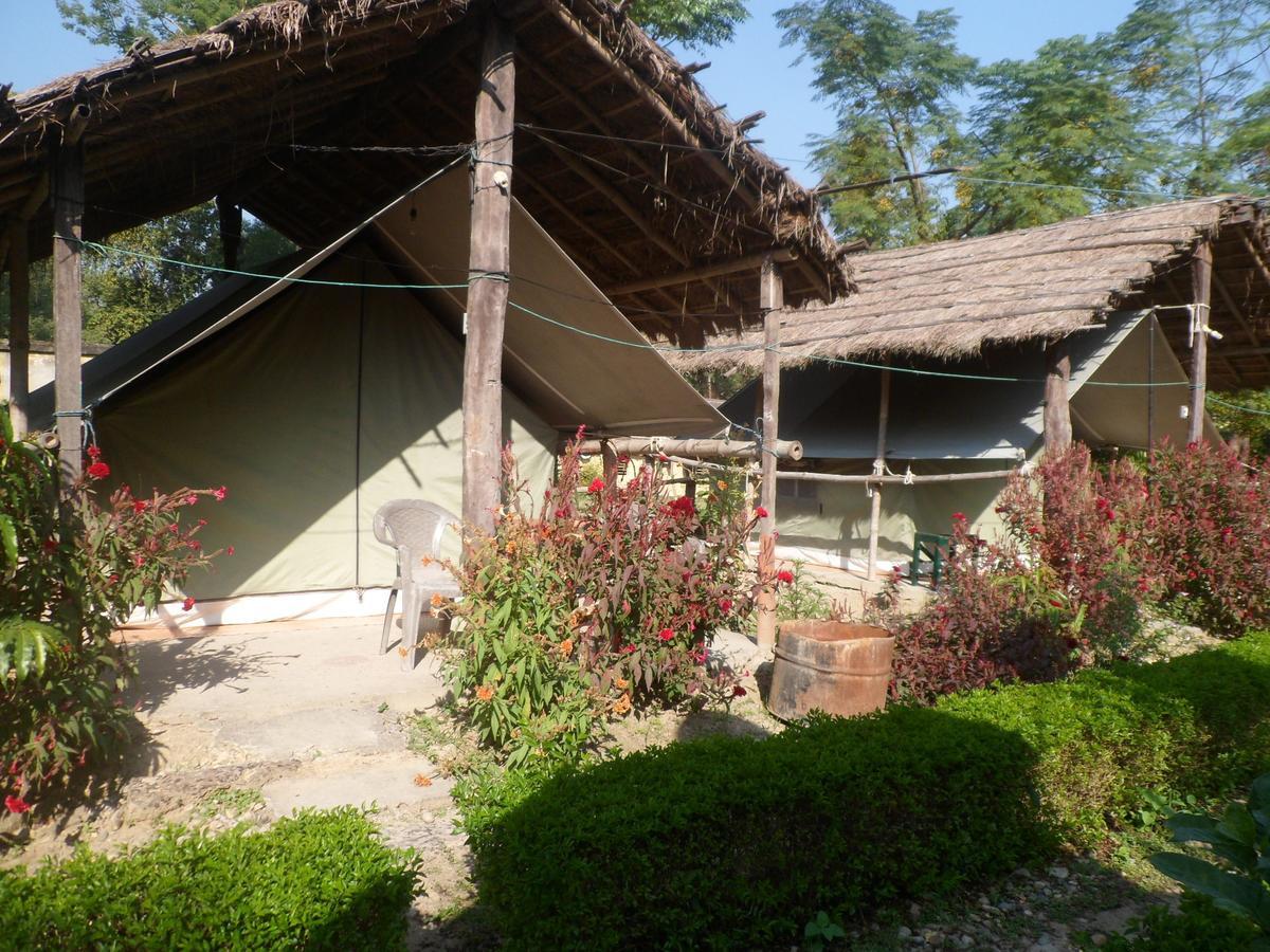 Forest Hideaway Resort Pvt Ltd Bardiya Eksteriør billede