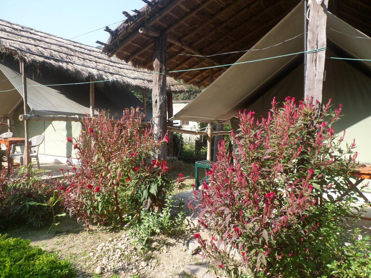 Forest Hideaway Resort Pvt Ltd Bardiya Eksteriør billede